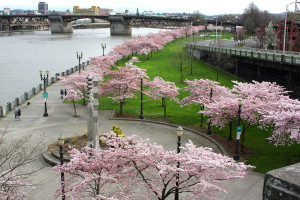 Waterfront Park Portland OR